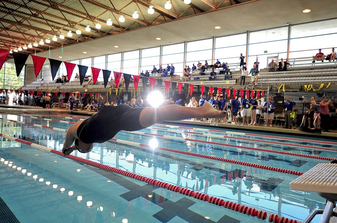 Swimmers dive in at the start of a race