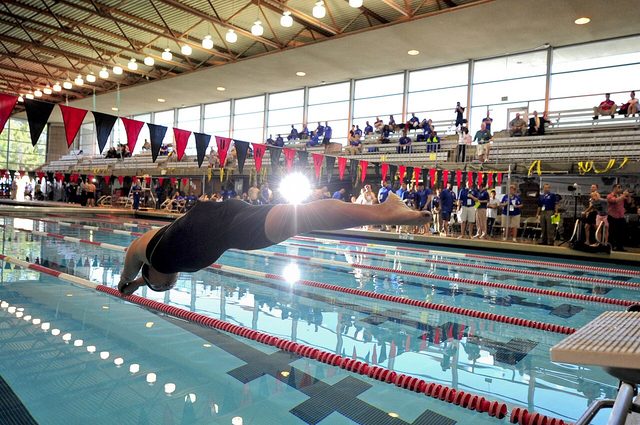 Swimmers dive in at the start of a race