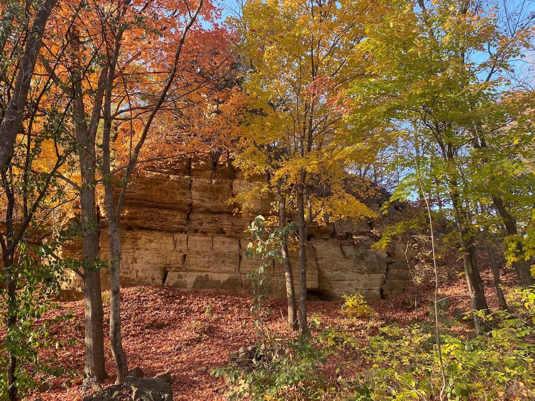Fall color on a bluff above La Crosse